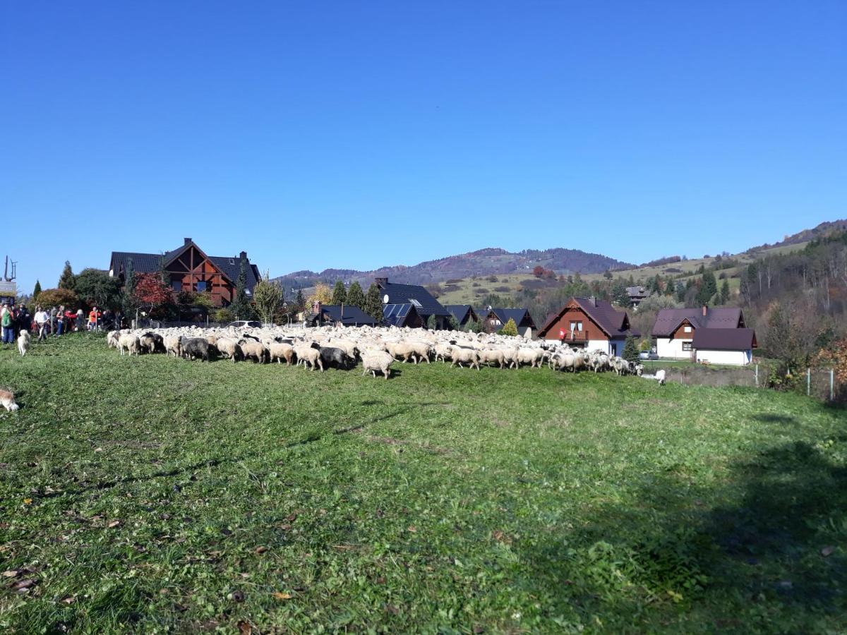 Pokoje Goscinne Pod Cuprona Szczawnica Buitenkant foto